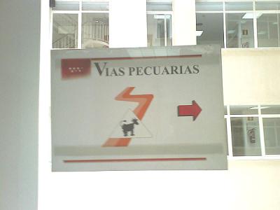20080712015325-vias-pecuarias-1.jpg